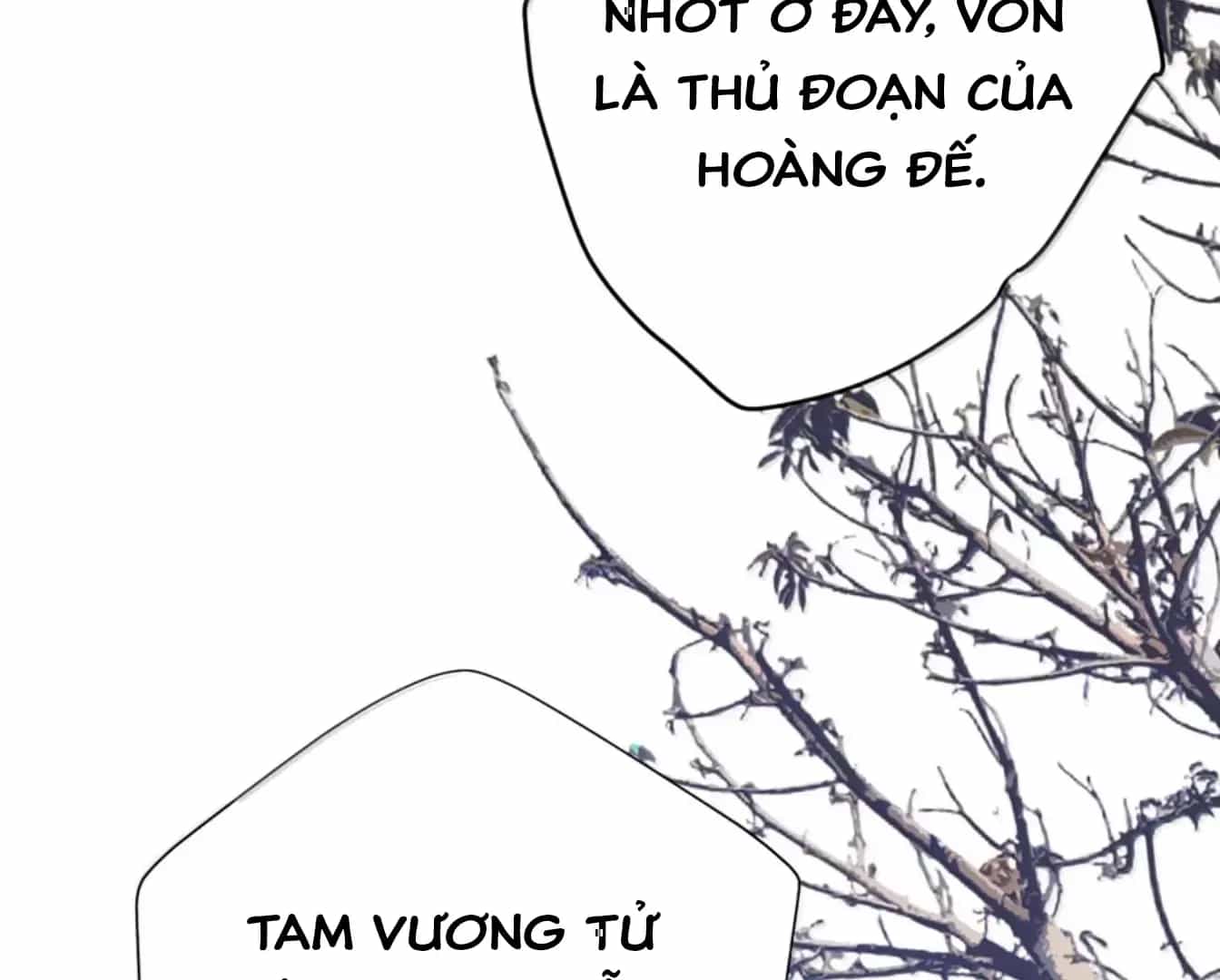 Nuông Chiều Mỹ Nhân Cuồng Nhiệt - Chương 70 - ảnh 12