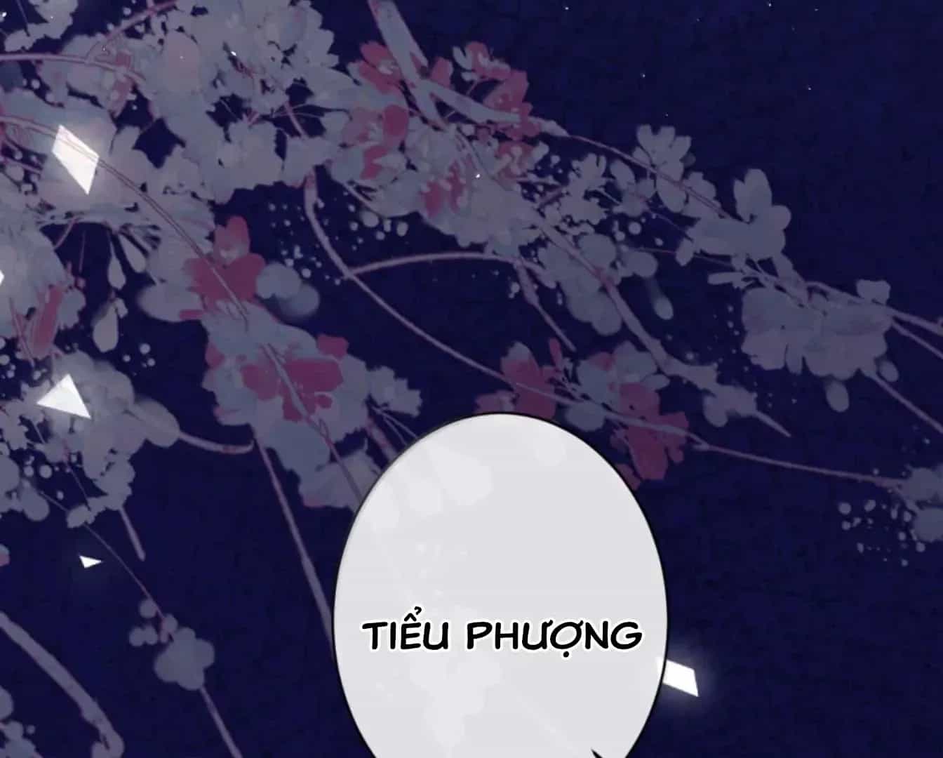 Nuông Chiều Mỹ Nhân Cuồng Nhiệt - Chương 70 - ảnh 73