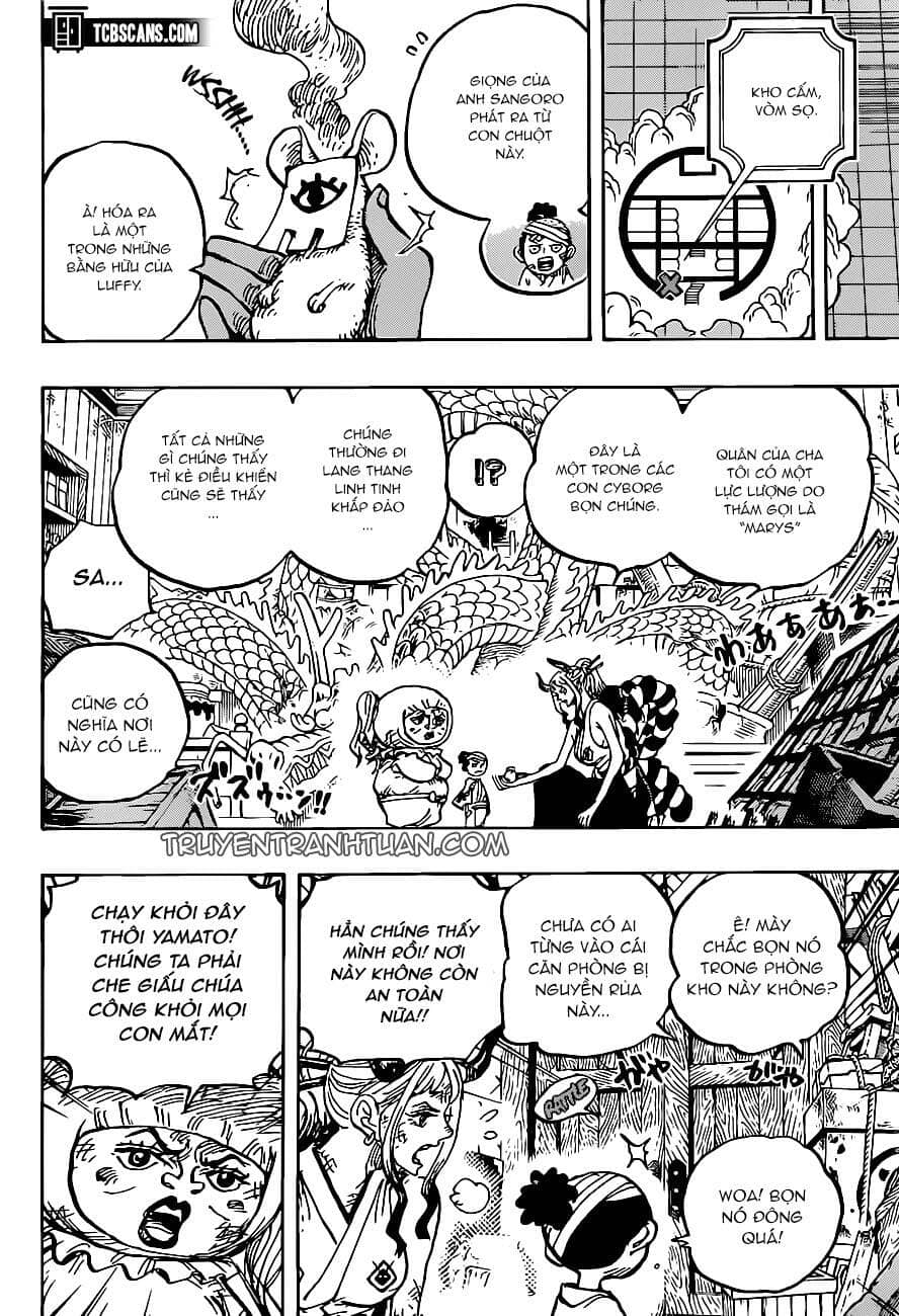One Piece - Chương 1005 - ảnh 13