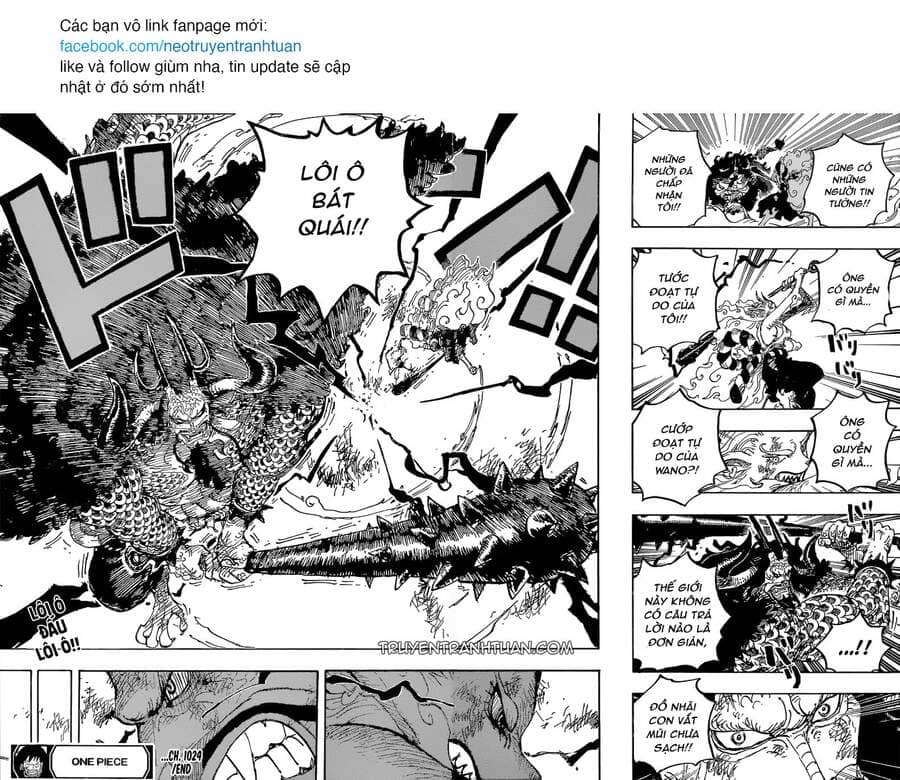 One Piece - Chương 1024 - ảnh 19