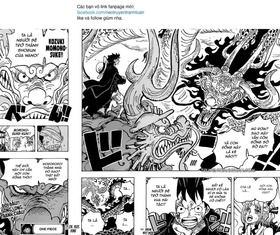 One Piece - Chương 1025 - ảnh 16