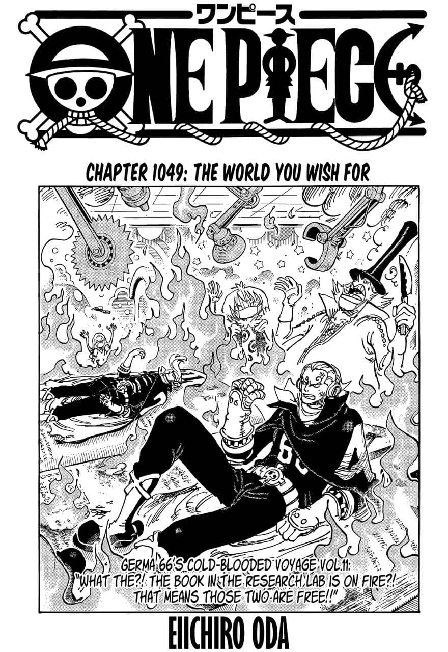 One Piece - Chương 1049 - ảnh 1