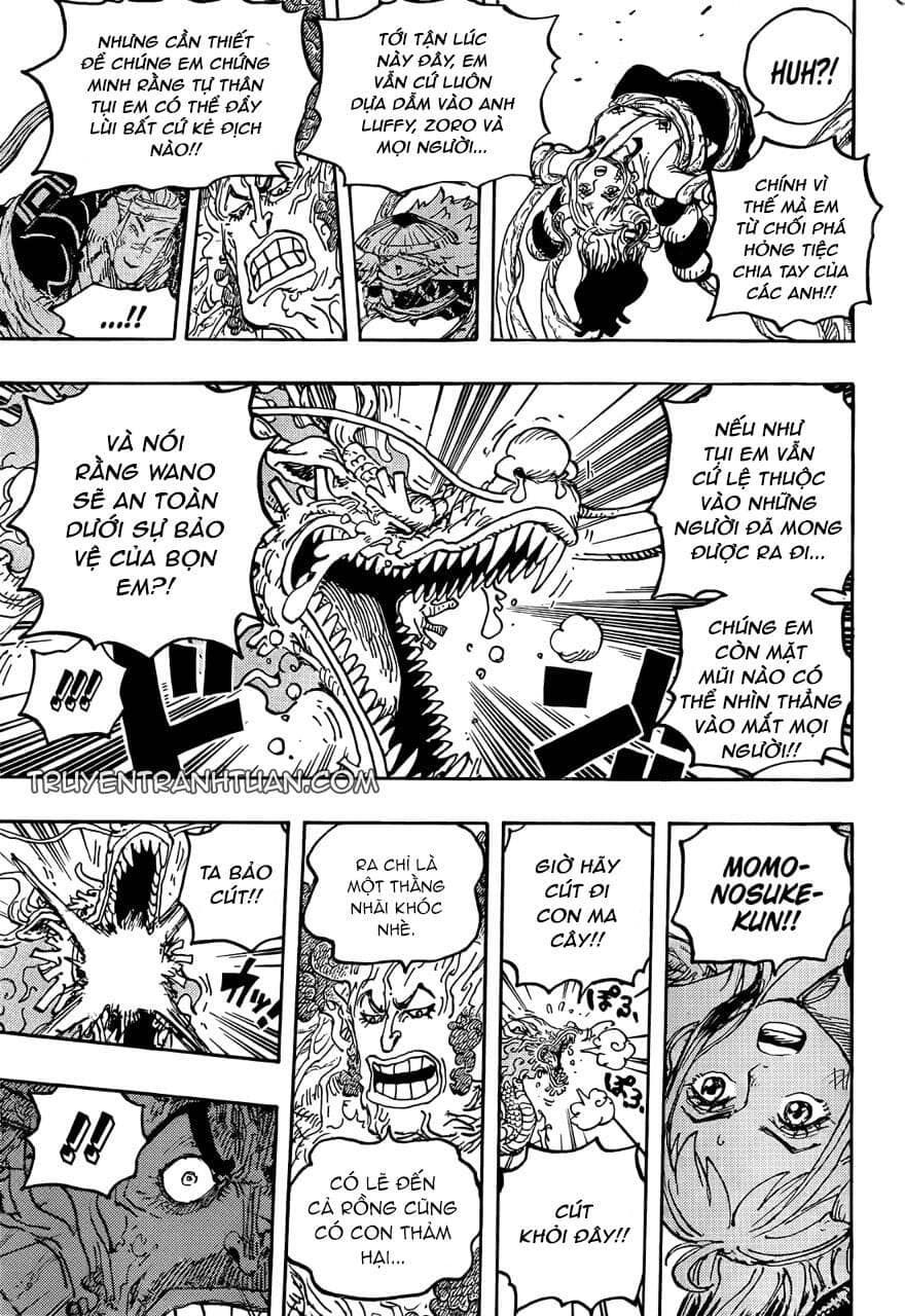 One Piece - Chương 1055 - ảnh 13