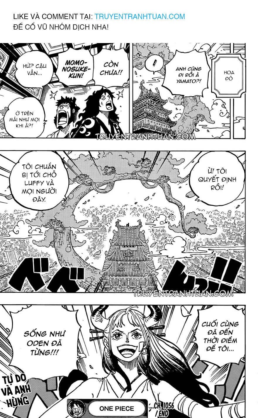 One Piece - Chương 1056 - ảnh 18