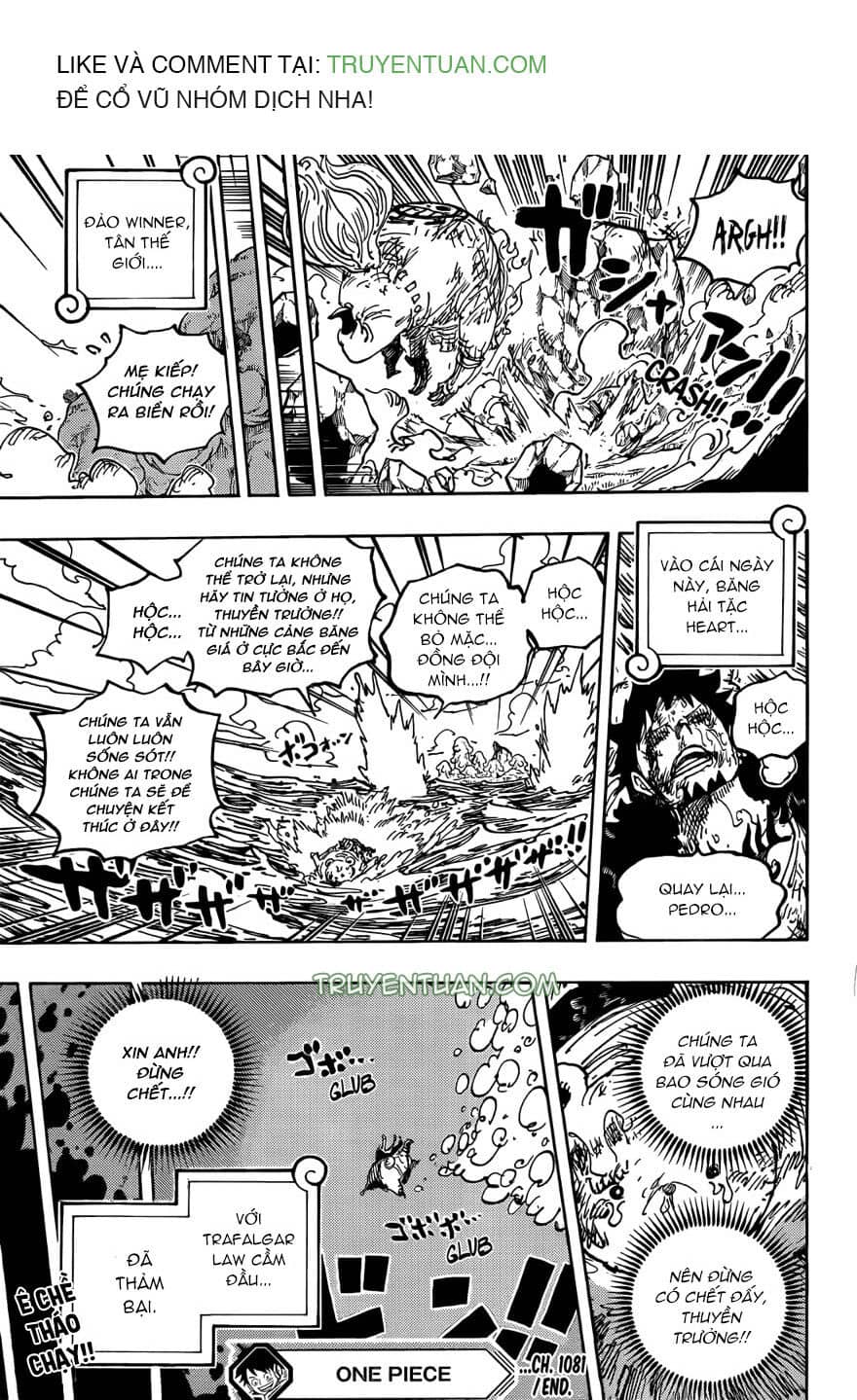 One Piece - Chương 1081 - ảnh 15