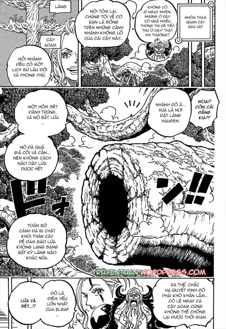 One Piece - Chương 1141 - ảnh 3
