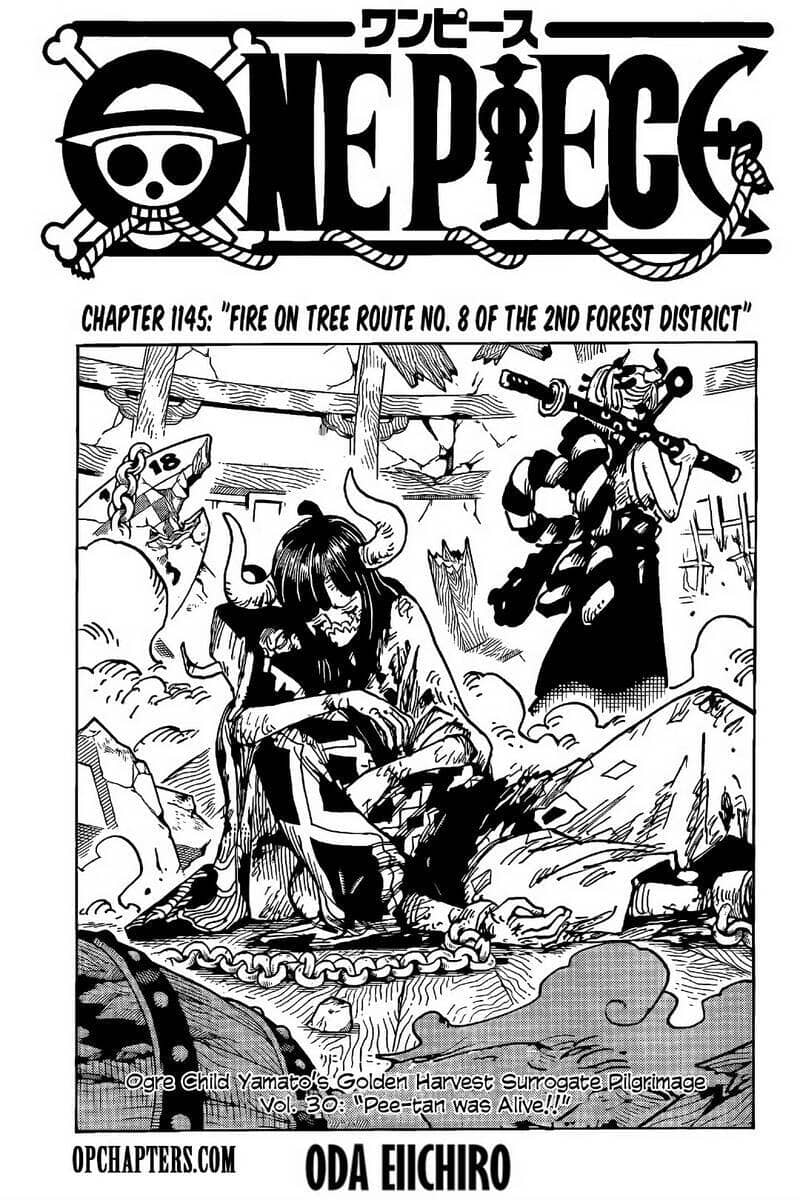 One Piece - Chương 1145 - ảnh 2