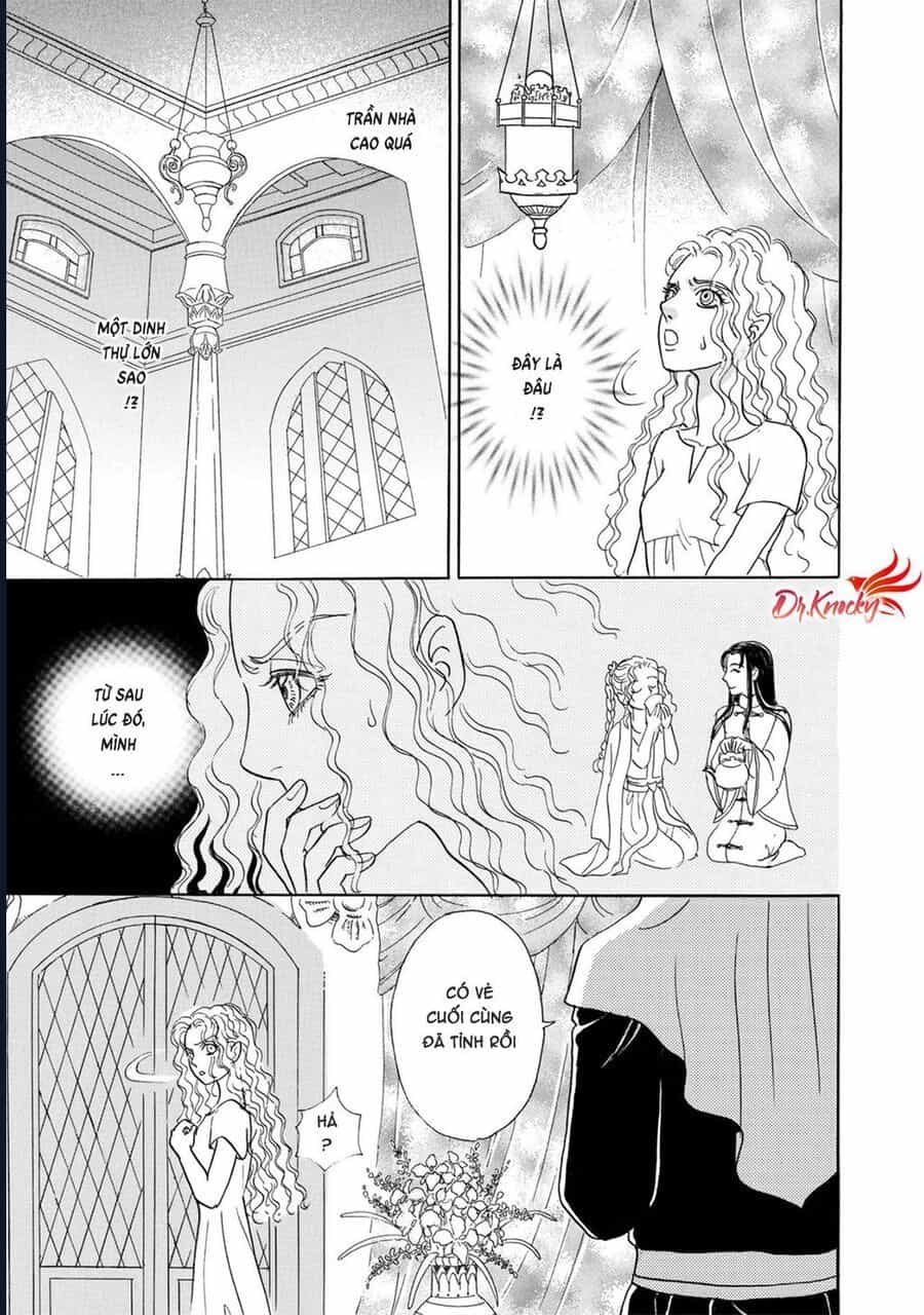 Petshop Of Horrors: Hyohaku No Hakobune-Hen - Chương 1 - ảnh 15