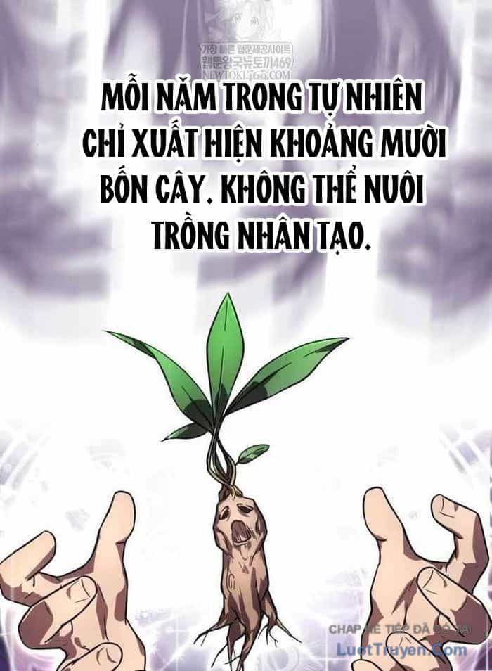 Pháp Sư Thiên Tài Phá Vỡ Giới Hạn - Chương 36 - ảnh 13