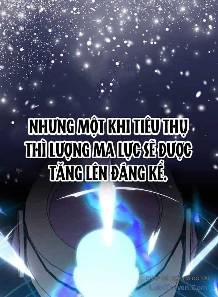 Pháp Sư Thiên Tài Phá Vỡ Giới Hạn - Chương 36 - ảnh 5