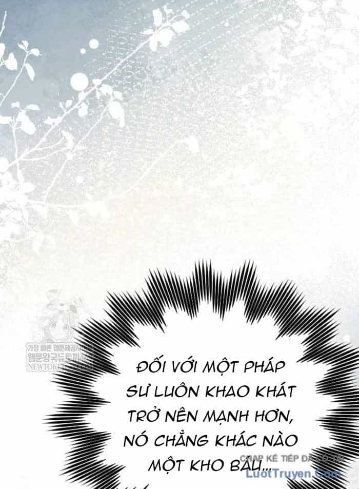 Pháp Sư Thiên Tài Phá Vỡ Giới Hạn - Chương 36 - ảnh 8