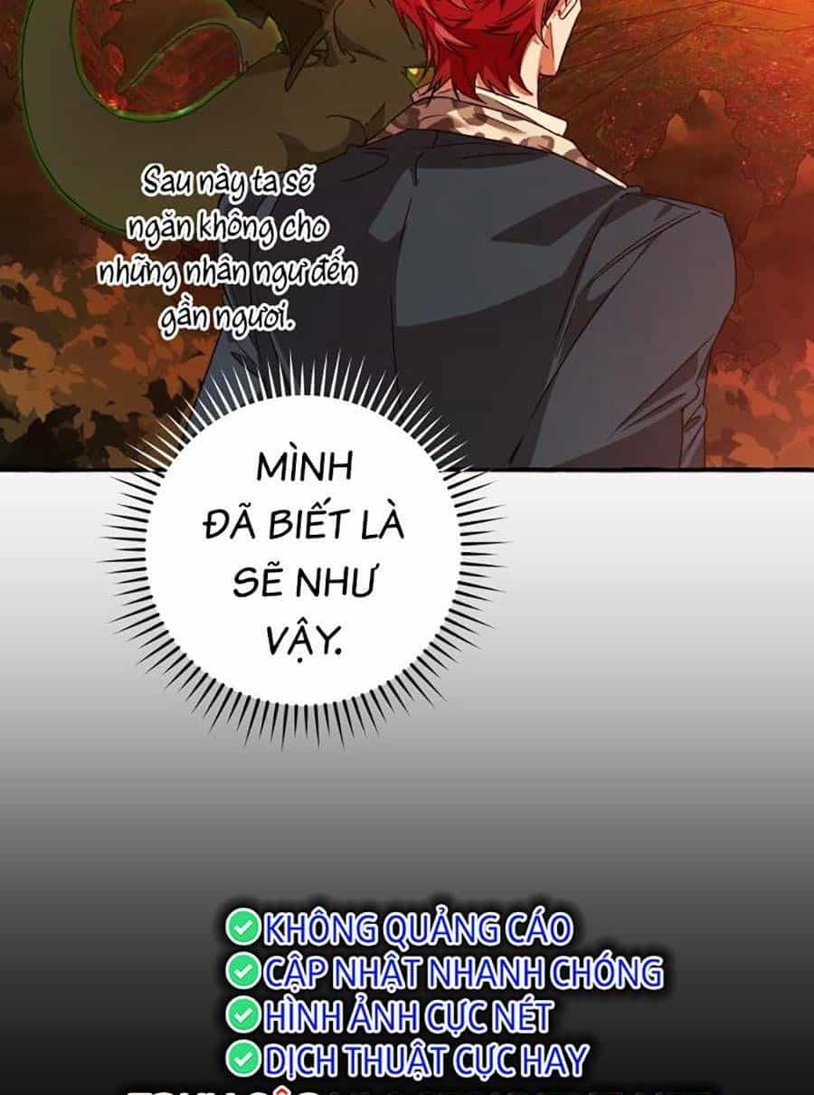 Phế Vật Dòng Dõi Bá Tước - Chương 98 - ảnh 49
