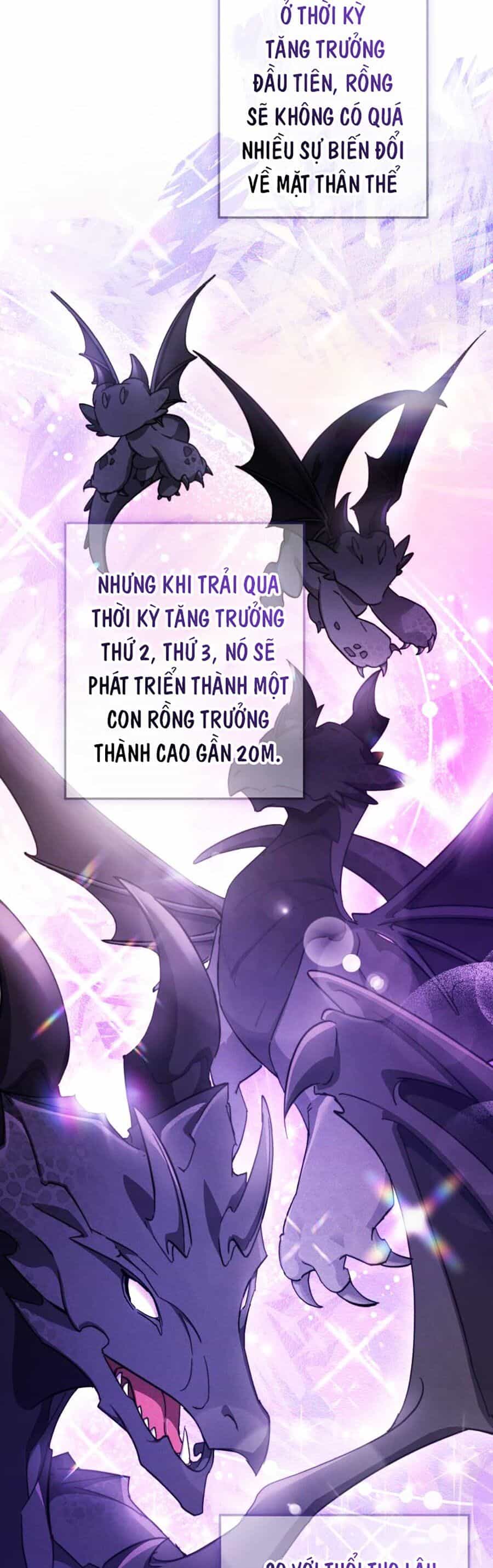 Phế Vật Dòng Dõi Bá Tước - Chương 110 - ảnh 6