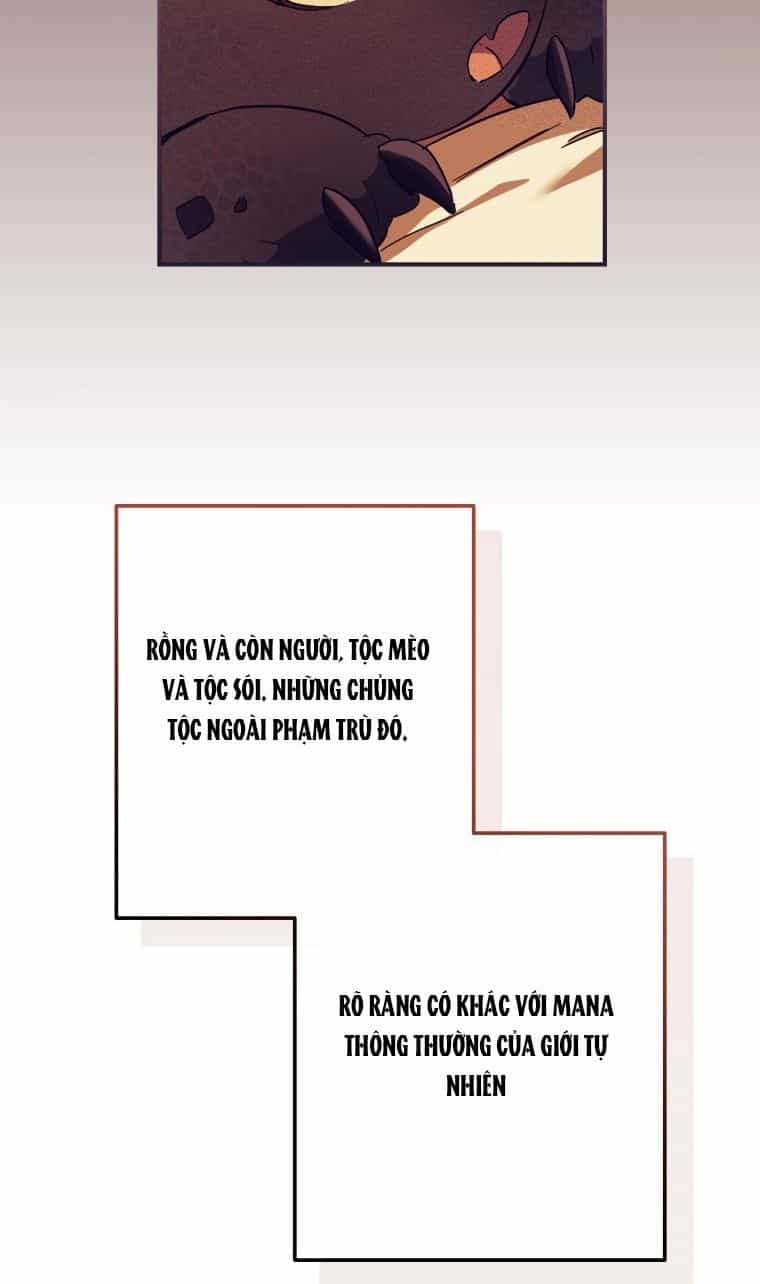 Phế Vật Dòng Dõi Bá Tước - Chương 113.2 - ảnh 63