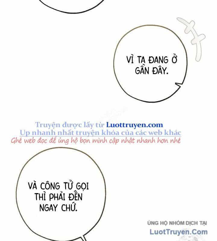 Phế Vật Dòng Dõi Bá Tước - Chương 168 - ảnh 85