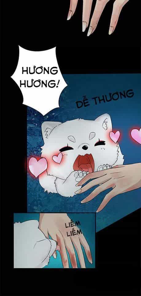 Phế Vật Nghịch Tập Triệu Hoán Sư - Chương 2 - ảnh 18