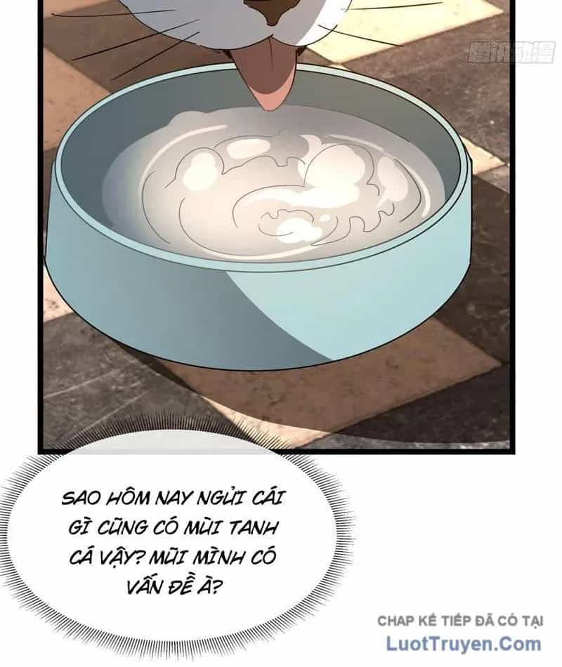 Phổ La Chi Chủ - Chương 15 - ảnh 89