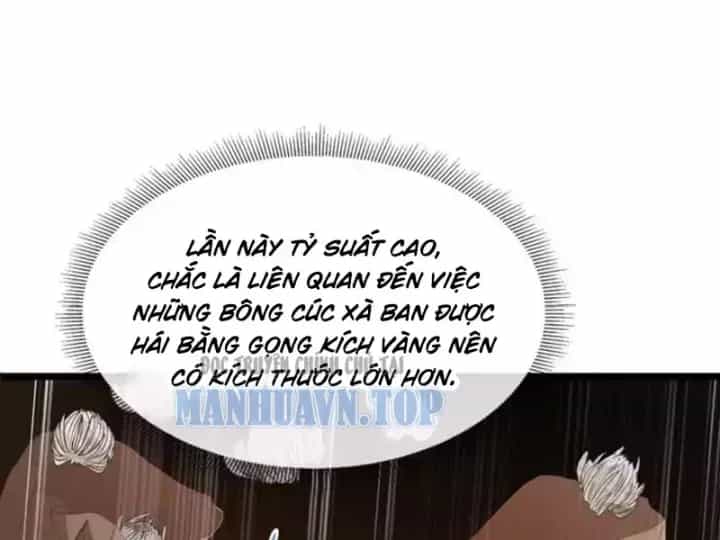 Phổ La Chi Chủ - Chương 29 - ảnh 119