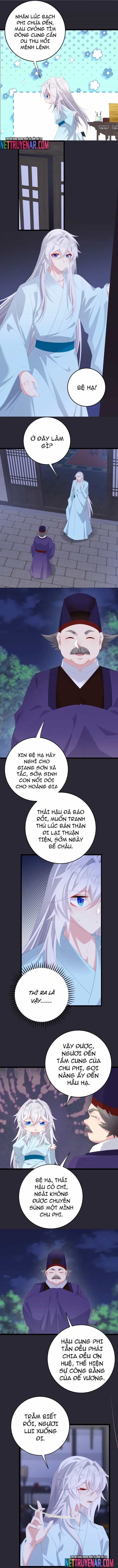 Phơi Bày Thân Phận Nữ Của Hoàng Đế - Chương 65 - ảnh 3