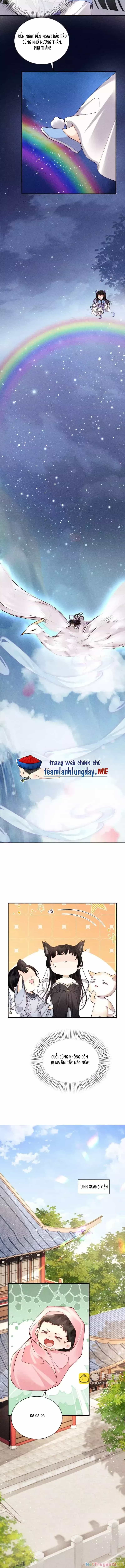 Phu Quân Giữ Thê - Chương 67 - ảnh 3