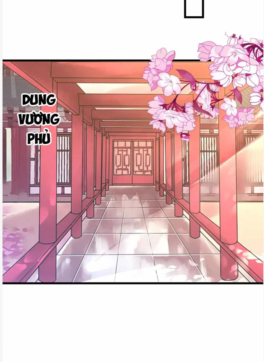 Phúc Hắc Vương Gia Đừng Làm Loạn - Chương 14 - ảnh 20