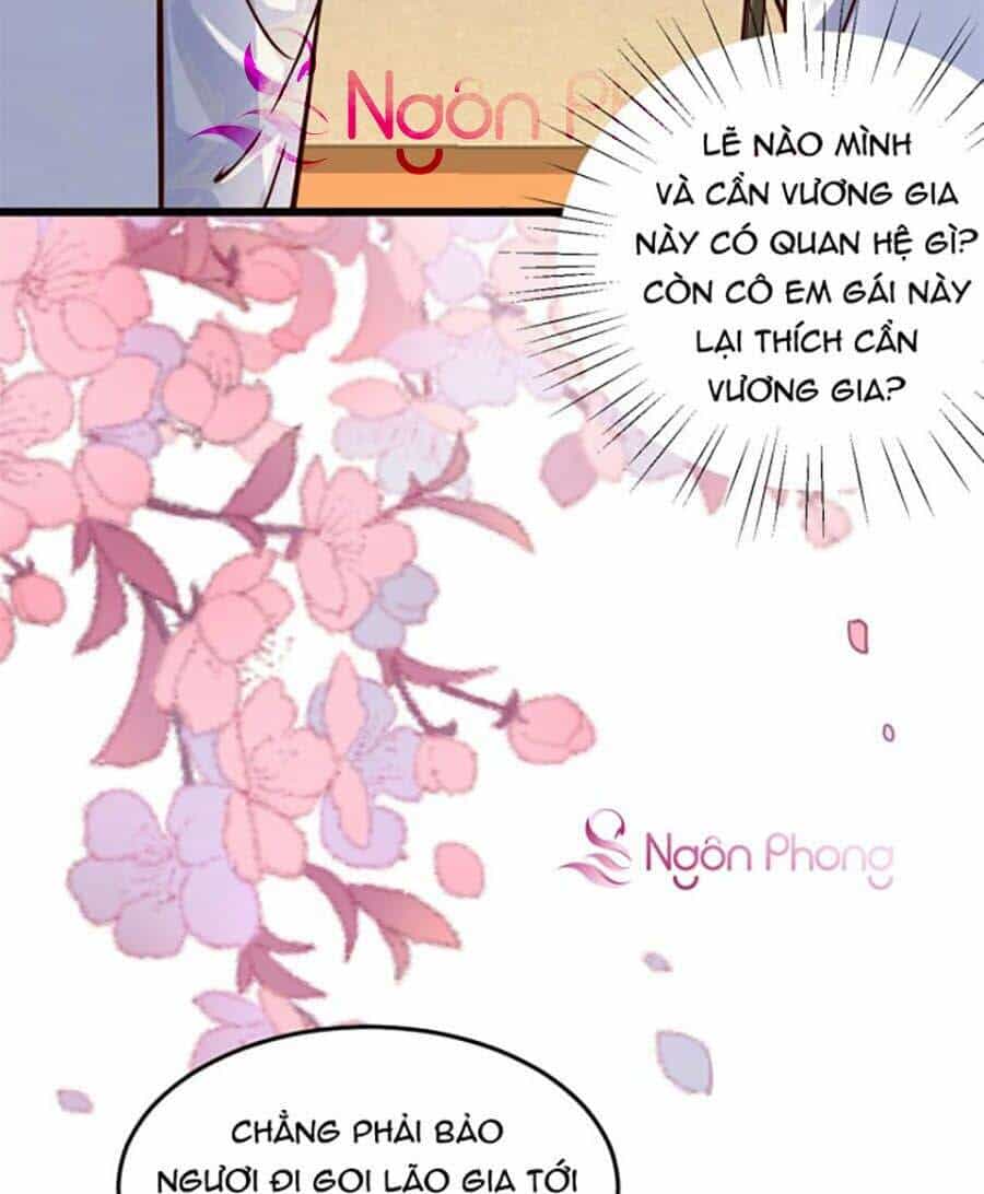 Phúc Hắc Vương Gia: Thê Tử Không Dễ Trêu - Chương 2 - ảnh 17