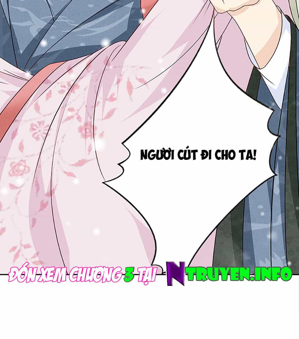 Phượng Hoàng Ngàn Năm - Chương 2 - ảnh 33