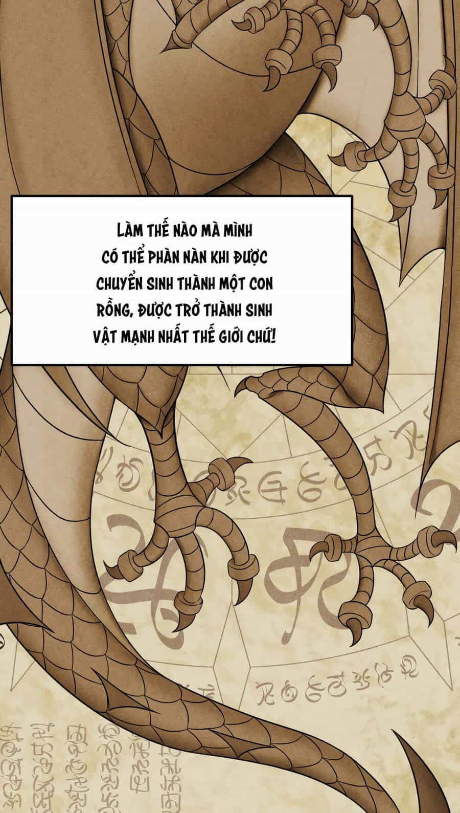 Phương Pháp Sinh Tồn Của Rồng Sắp Ngủm - Chương 1 - ảnh 88