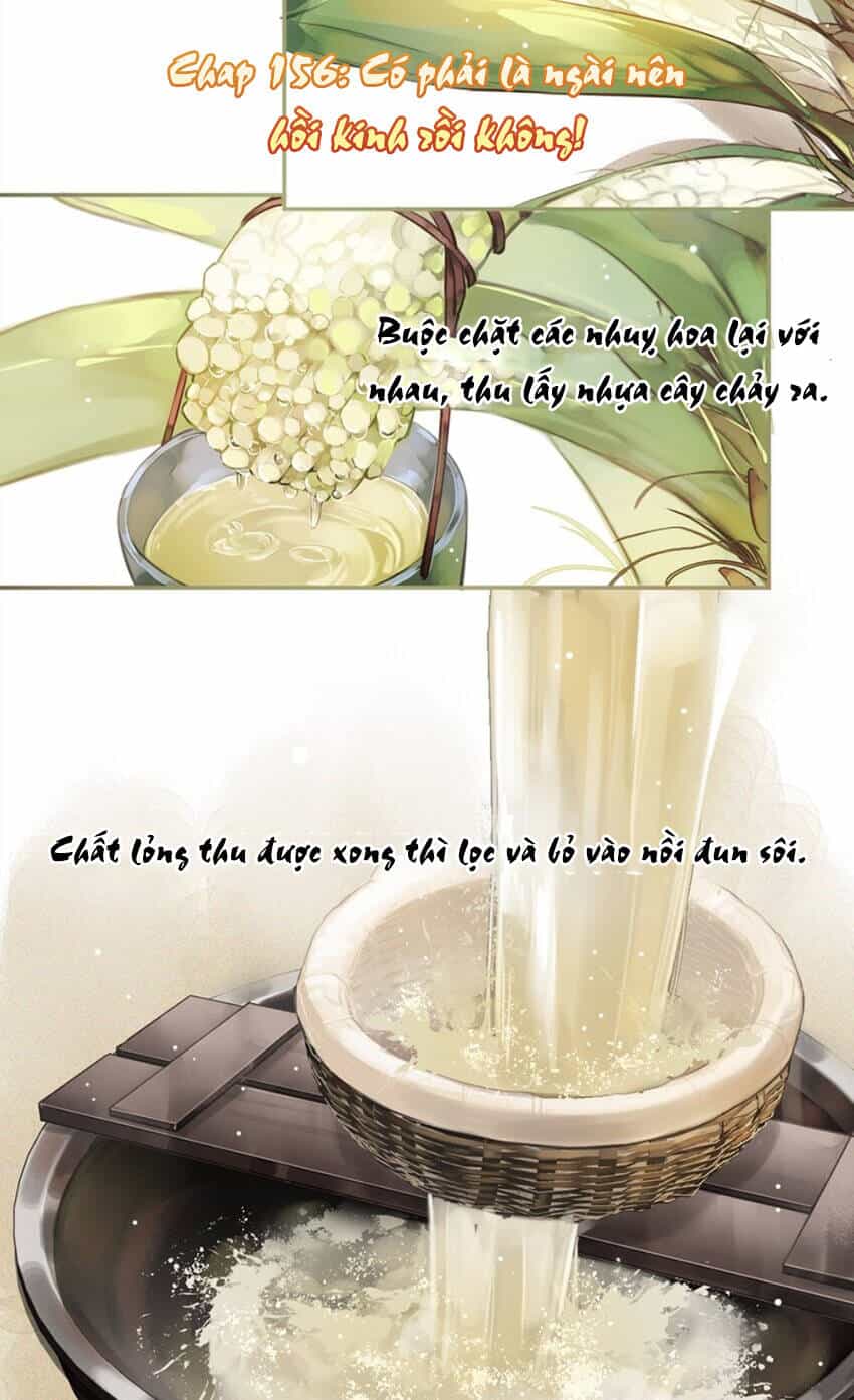 Quận Chúa Bất Tư Gia - Chương 156 - ảnh 3