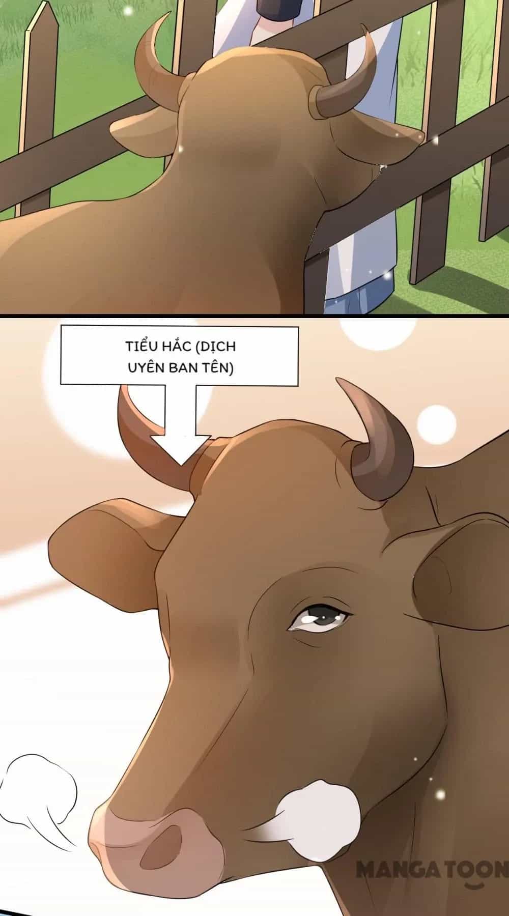 Quận Chúa Cẩn Thận, Đã Định Rồi Khó Đổi Lắm! - Chương 158 - ảnh 10