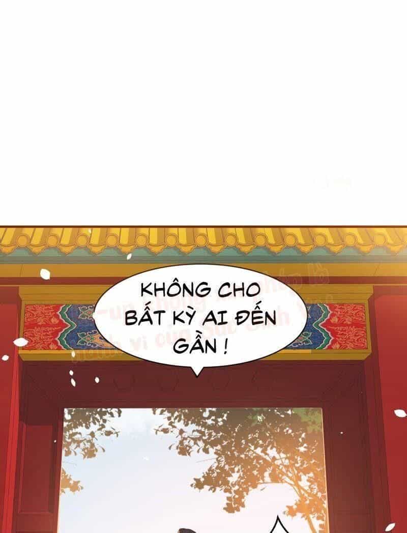 Quận Chúa Vững Vàng, Thiết Lập Nhân Vật Không Thể Vỡ - Chương 1 - ảnh 11