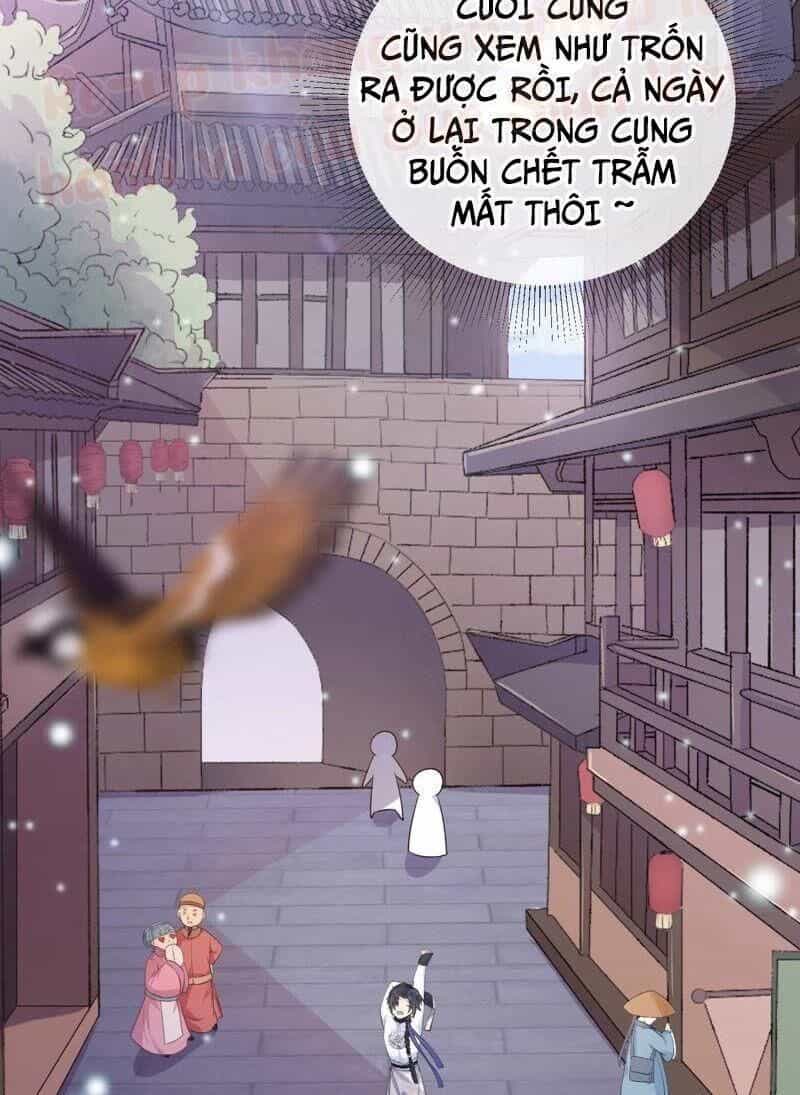 Quận Chúa Vững Vàng, Thiết Lập Nhân Vật Không Thể Vỡ - Chương 1 - ảnh 45