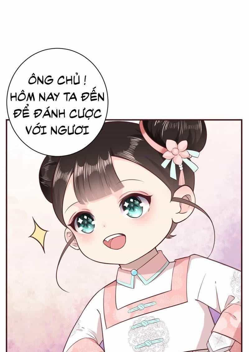 Quận Chúa Vững Vàng, Thiết Lập Nhân Vật Không Thể Vỡ - Chương 1 - ảnh 52