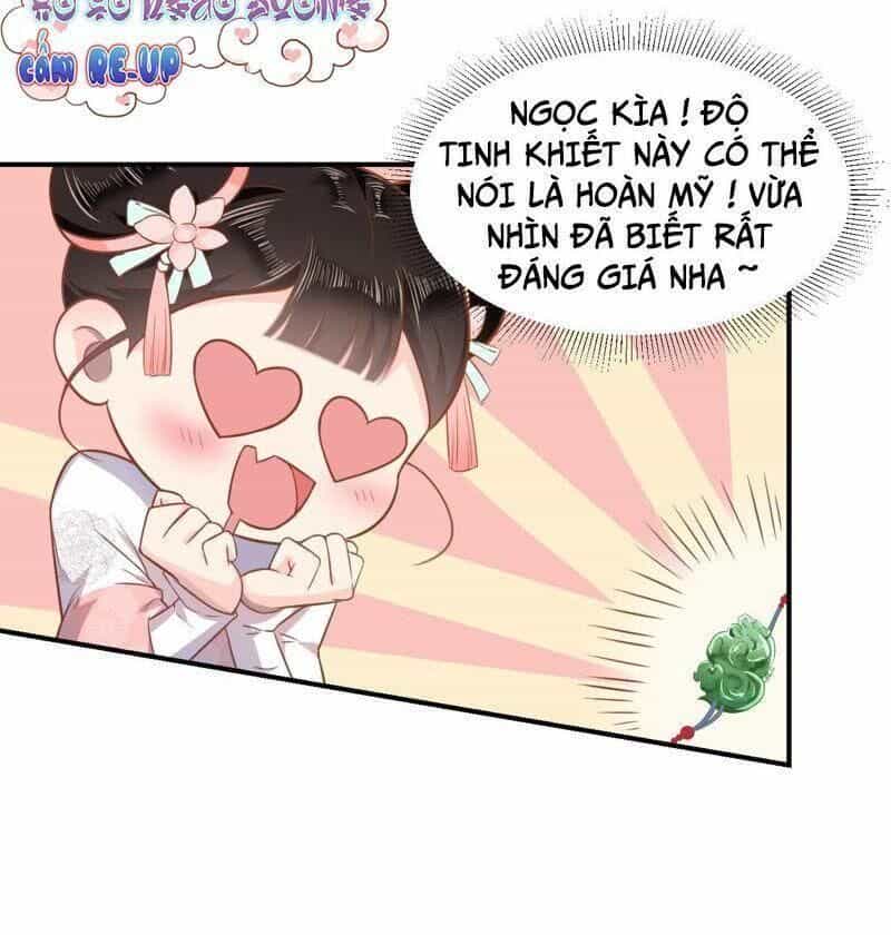 Quận Chúa Vững Vàng, Thiết Lập Nhân Vật Không Thể Vỡ - Chương 2 - ảnh 41