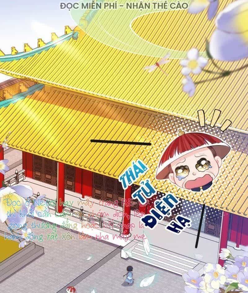 Quận Chúa Vững Vàng, Thiết Lập Nhân Vật Không Thể Vỡ - Chương 20 - ảnh 13