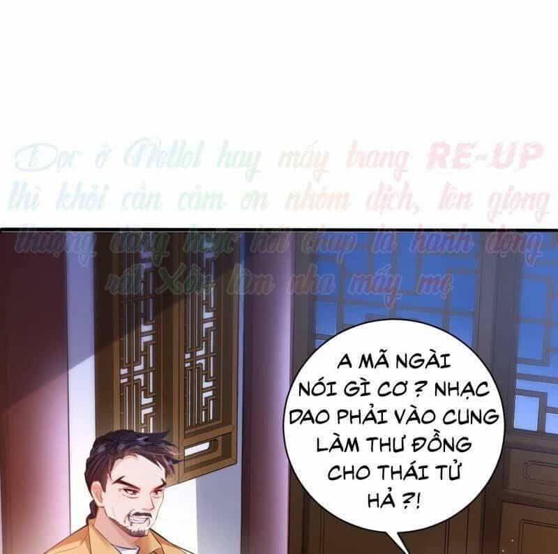Quận Chúa Vững Vàng, Thiết Lập Nhân Vật Không Thể Vỡ - Chương 24 - ảnh 8