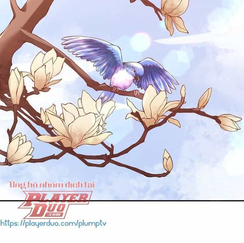 Quận Chúa Vững Vàng, Thiết Lập Nhân Vật Không Thể Vỡ - Chương 3 - ảnh 51