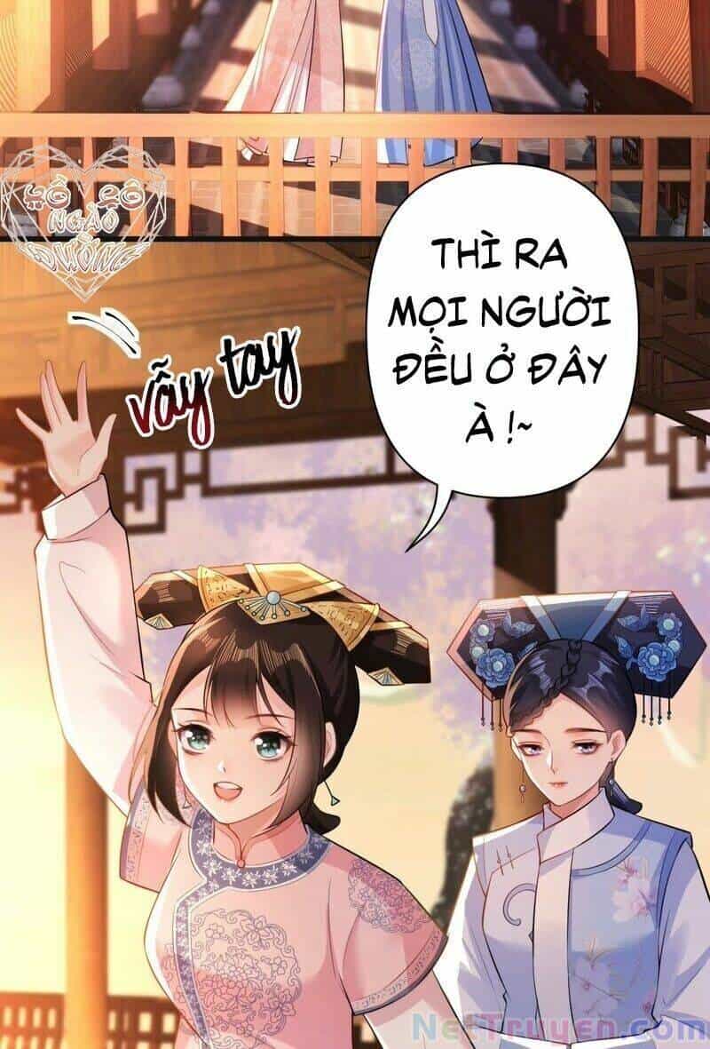 Quận Chúa Vững Vàng, Thiết Lập Nhân Vật Không Thể Vỡ - Chương 49 - ảnh 20
