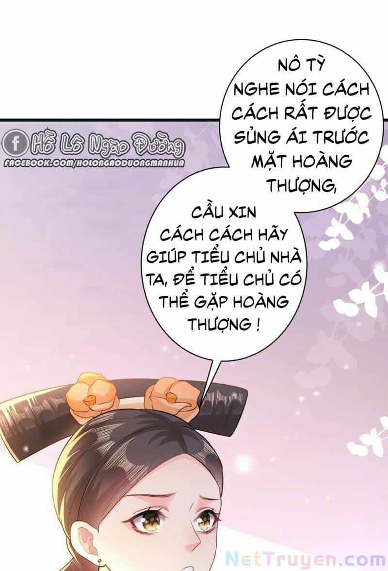 Quận Chúa Vững Vàng, Thiết Lập Nhân Vật Không Thể Vỡ - Chương 49 - ảnh 40