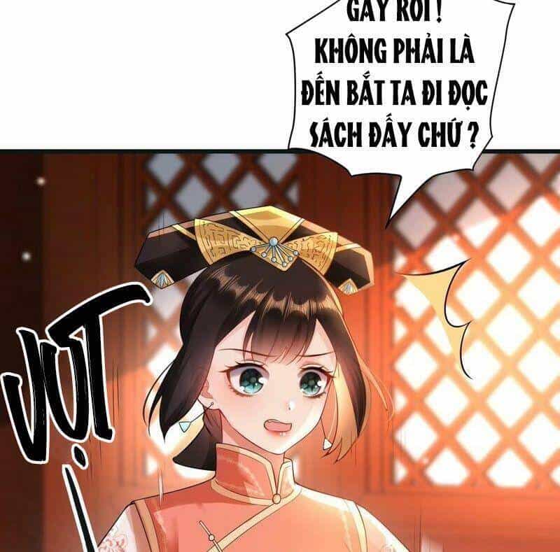 Quận Chúa Vững Vàng, Thiết Lập Nhân Vật Không Thể Vỡ - Chương 54 - ảnh 32