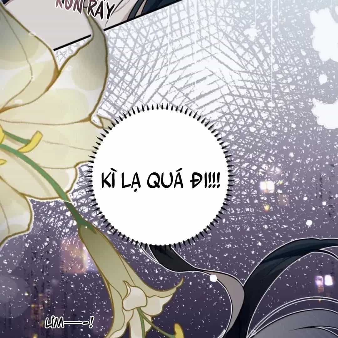Quấn Quýt - Chương 39 - ảnh 10