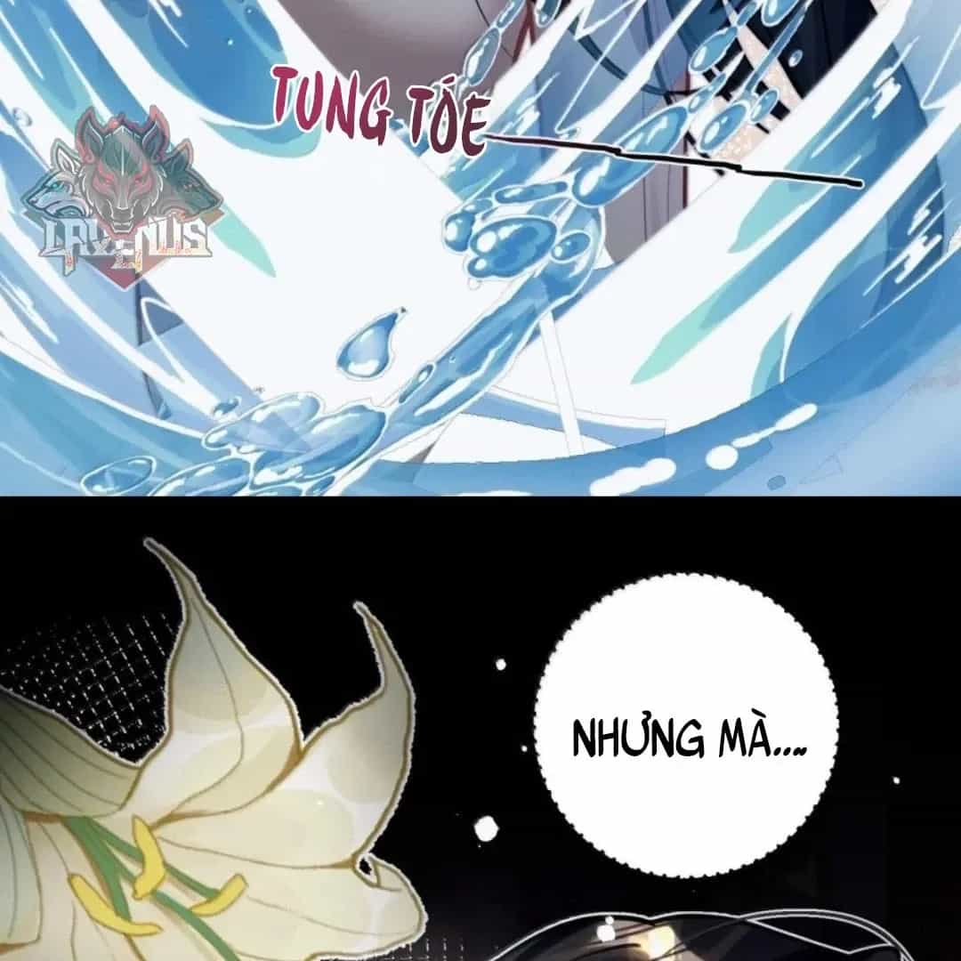 Quấn Quýt - Chương 39 - ảnh 19