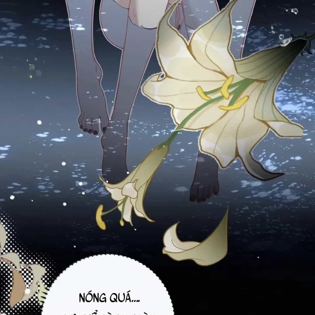 Quấn Quýt - Chương 39 - ảnh 43