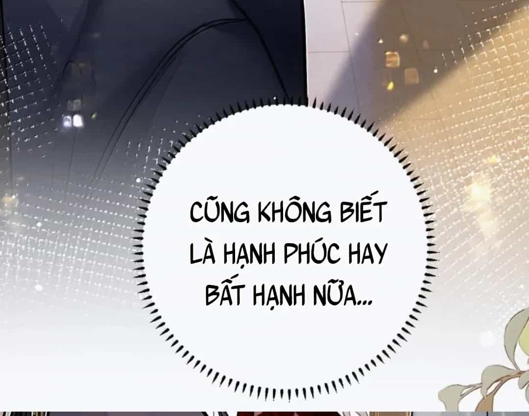 Quấn Quýt - Chương 41 - ảnh 36