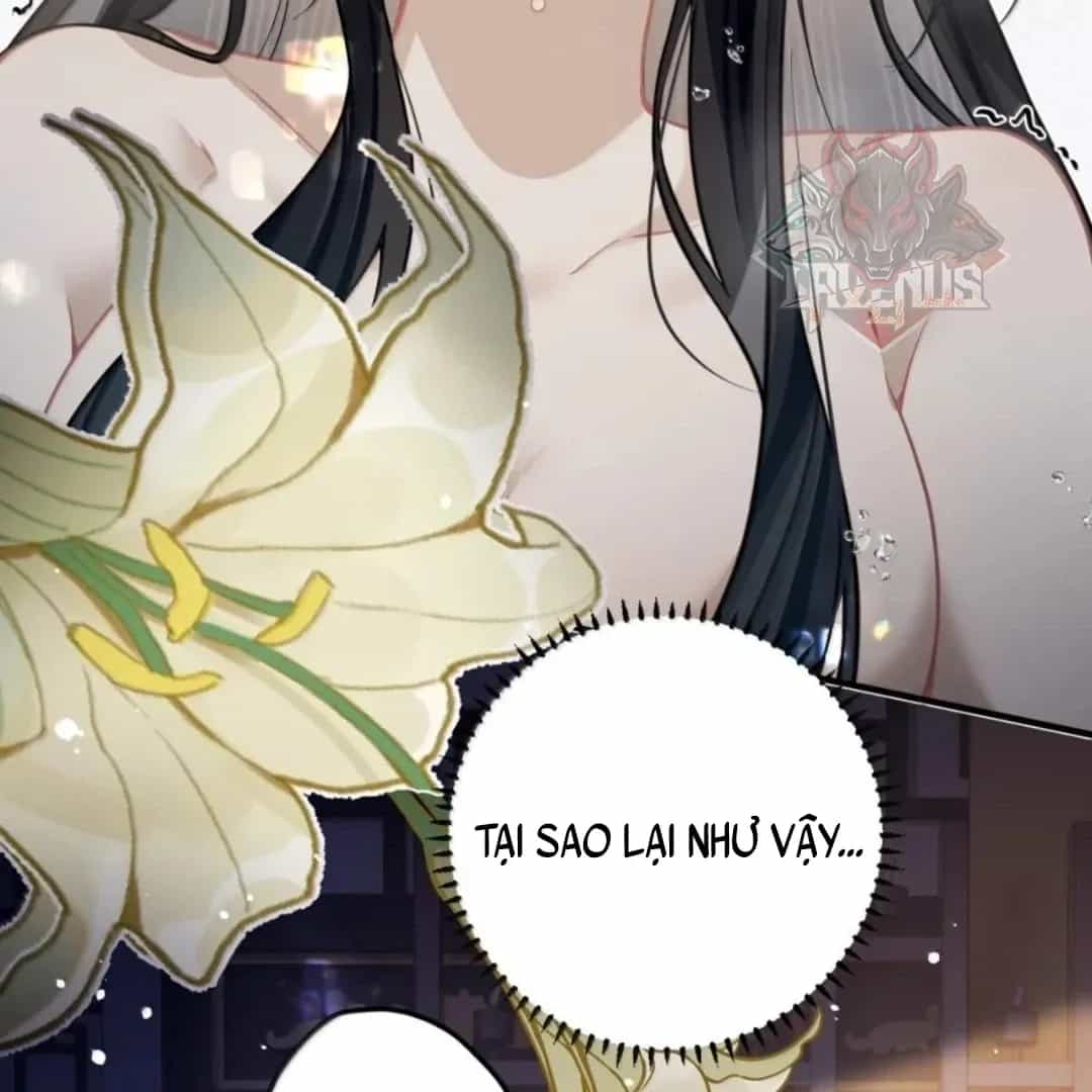 Quấn Quýt - Chương 41 - ảnh 4