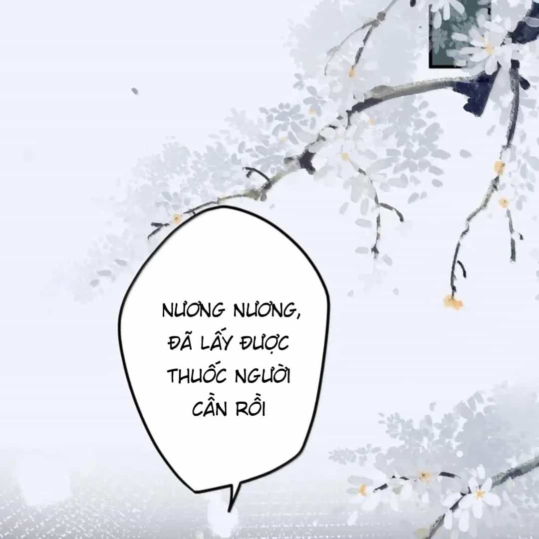 Quấn Quýt - Chương 42 - ảnh 33