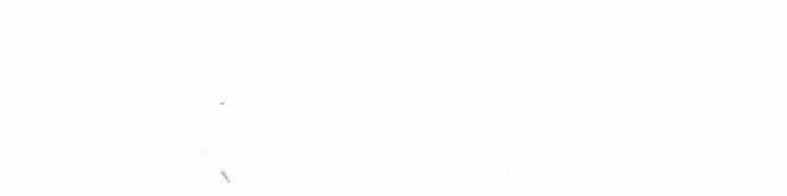 Quán Trọ Phong Ba - Chương 33 - ảnh 173