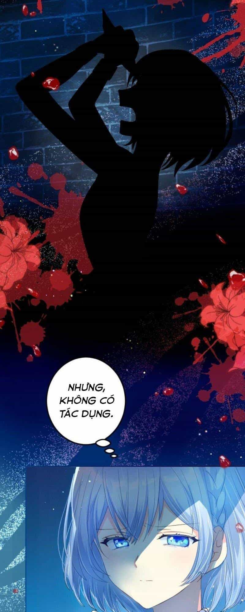 Quý Cô Không Rơi Nước Mắt - Chương 11 - ảnh 5