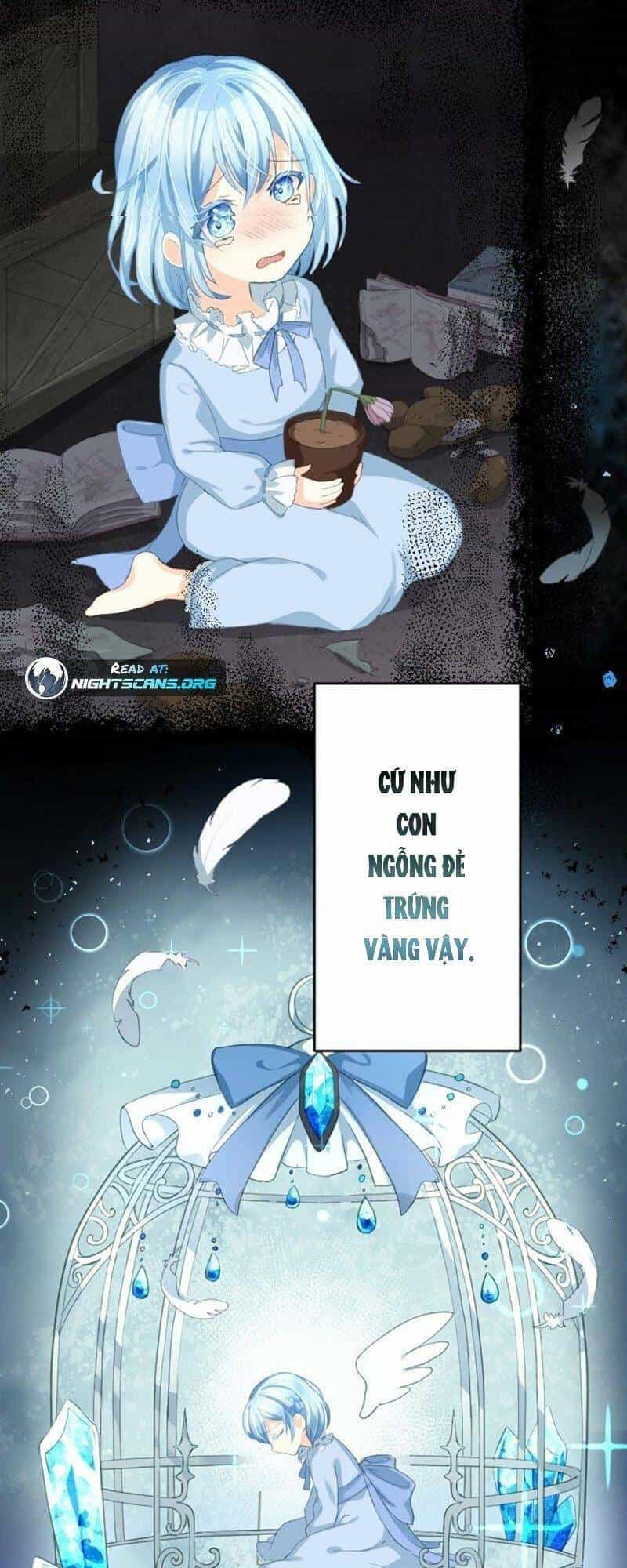 Quý Cô Không Rơi Nước Mắt - Chương 2 - ảnh 27