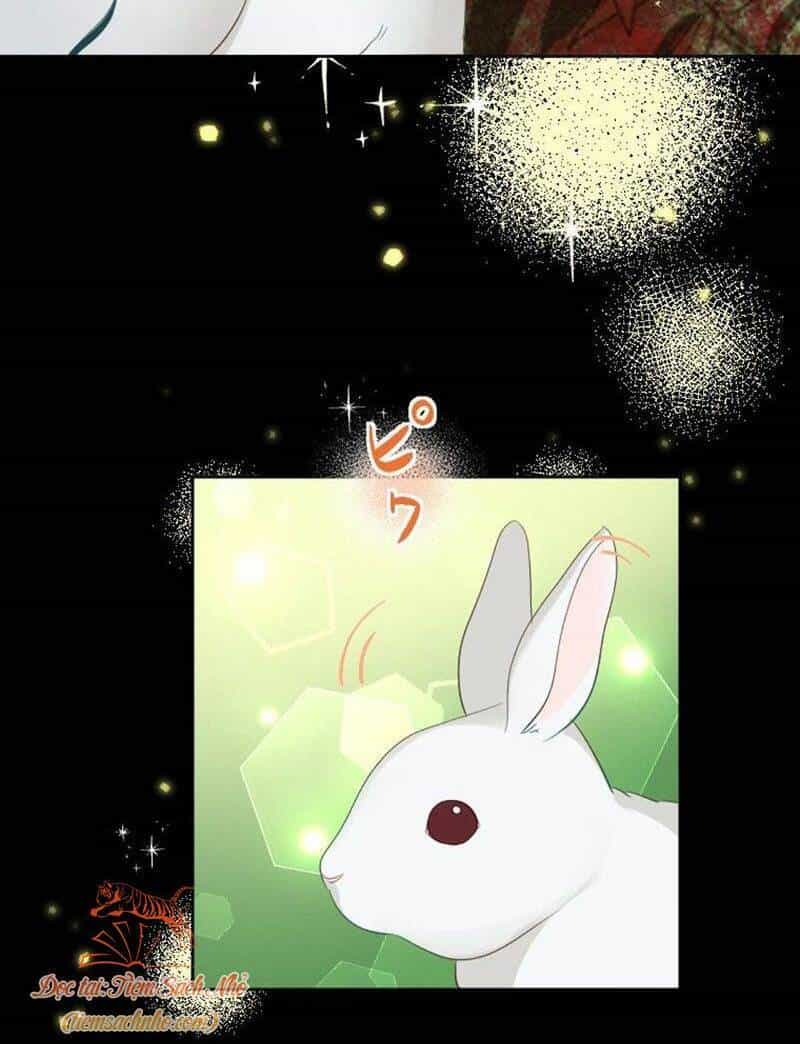 Quý Cô Không Rơi Nước Mắt - Chương 22 - ảnh 21